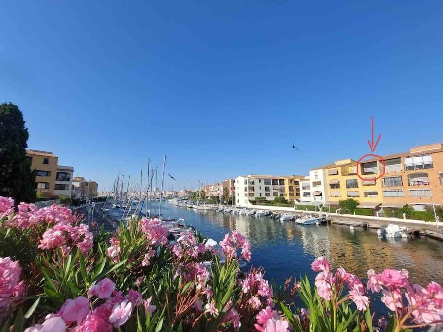 Cap'Nomad Studio Cote Mer - Balcon - Piscine - Parking 阿格德 外观 照片